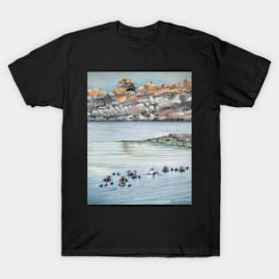 Eiders in Hare Island, St-Laurent T-Shirt